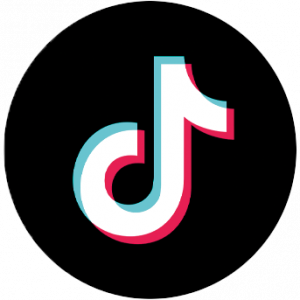 TikTok Logo